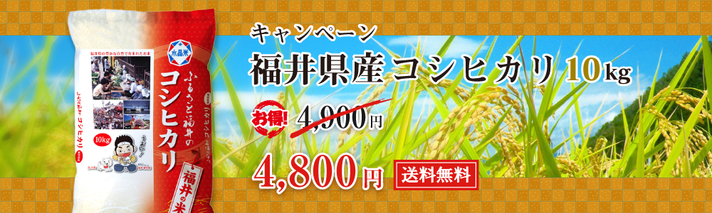 福井県産コシヒカリ10kg 4,800円